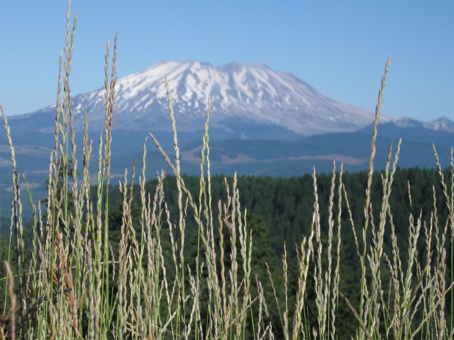 Paradise Creek-102.JPG - Mt. St. Helens